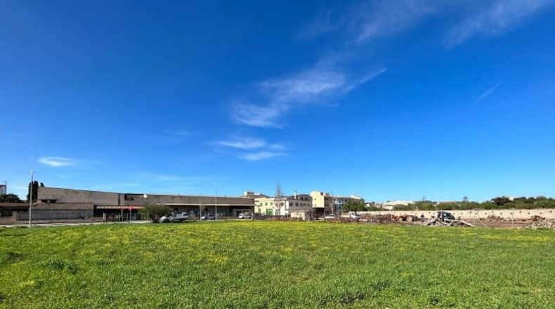 Balearic Islands - Porreras - 1160m2