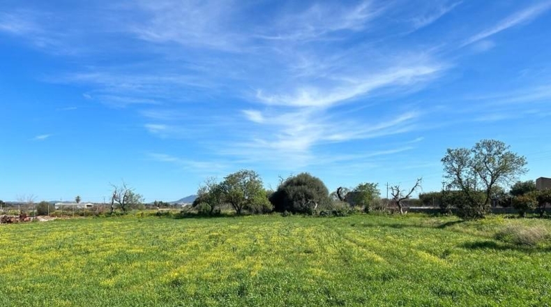 Balearic Islands - Porreras - 1160m2