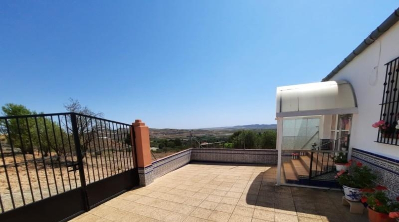 Albacete - Montealegre del Castillo - 7900m2