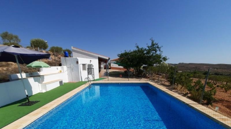 Albacete - Montealegre del Castillo - 7900m2