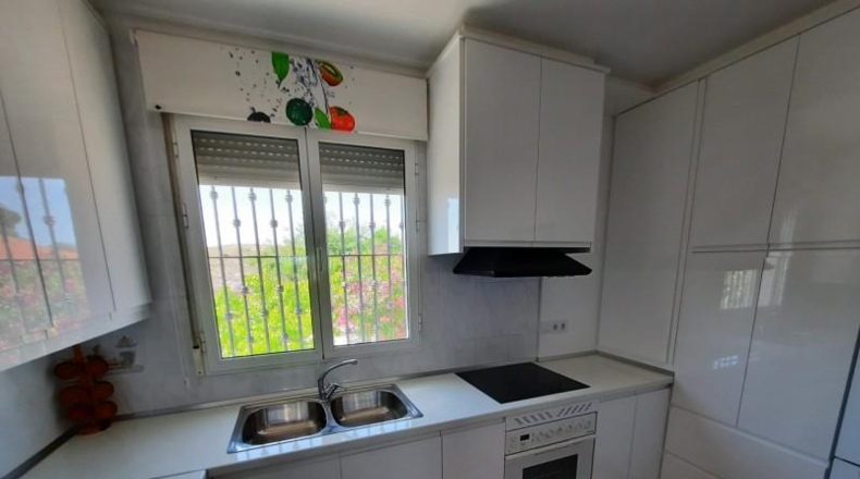 Albacete - Montealegre del Castillo - 7900m2