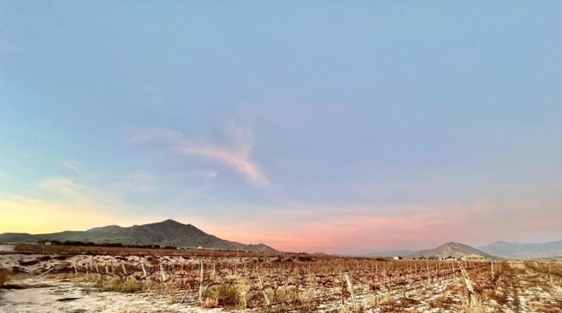 Alicante - la Romana - 54863m2