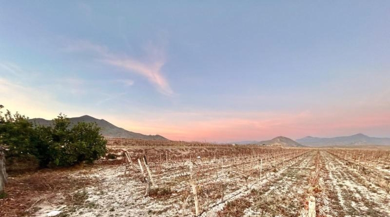 Alicante - la Romana - 54863m2