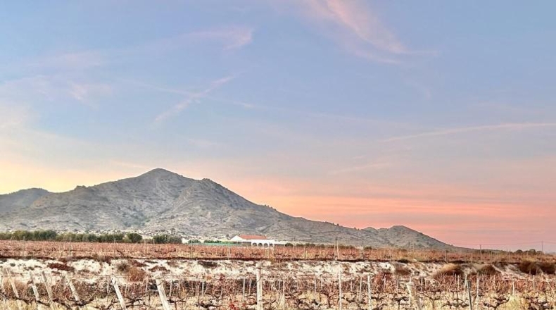 Alicante - la Romana - 54863m2