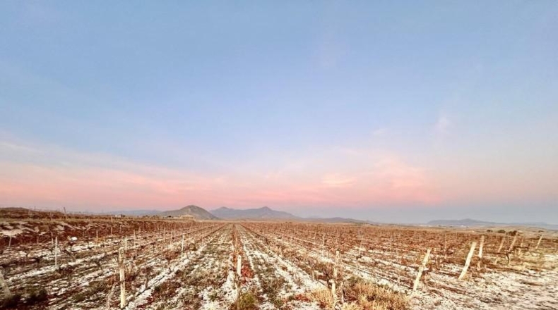 Alicante - la Romana - 54863m2