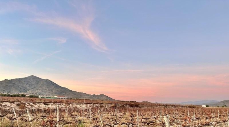 Alicante - la Romana - 54863m2