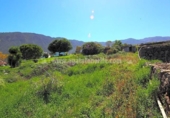Terreno no urbanizable en venta en la España, La Orotava, ref: TR129369 foto