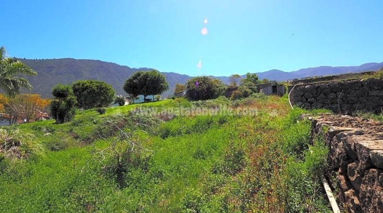 Santa Cruz de Tenerife - La Orotava - 4487m2