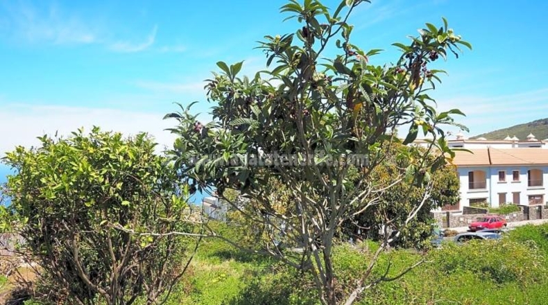 Santa Cruz de Tenerife - La Orotava - 4487m2