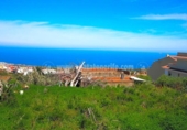 Terreno no urbanizable en venta en la España, La Orotava, ref: TR129369 foto