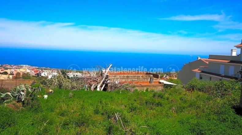 Santa Cruz de Tenerife - La Orotava - 4487m2