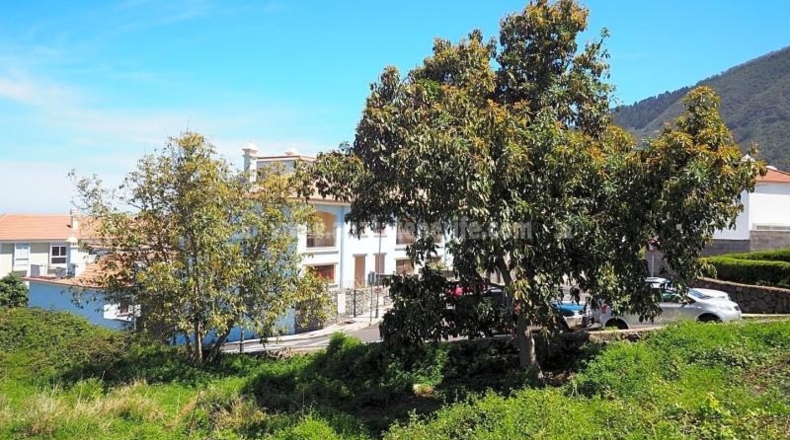 Santa Cruz de Tenerife - La Orotava - 4487m2