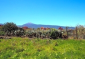 Terreno no urbanizable en venta en la España, La Orotava, ref: TR129369 foto