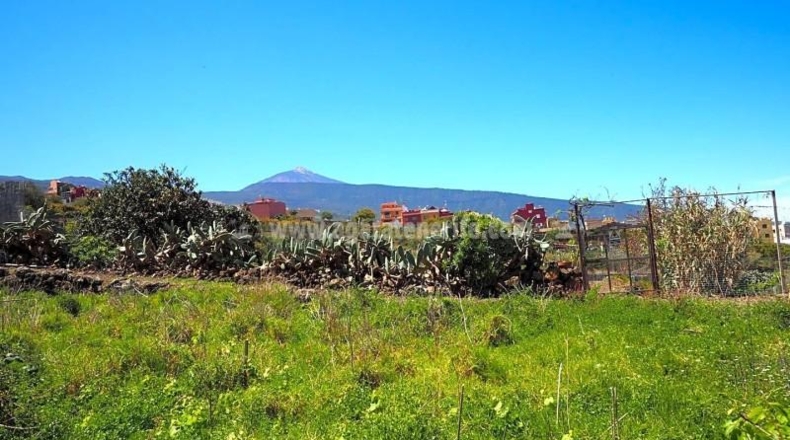 Santa Cruz de Tenerife - La Orotava - 4487m2