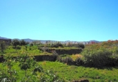 Terreno no urbanizable en venta en la España, La Orotava, ref: TR129369 foto