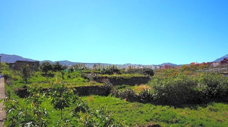Santa Cruz de Tenerife - La Orotava - 4487m2