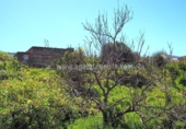 Terreno no urbanizable en venta en la España, La Orotava, ref: TR129369 foto