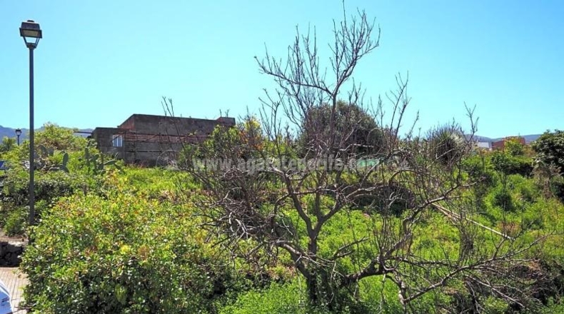 Santa Cruz de Tenerife - La Orotava - 4487m2