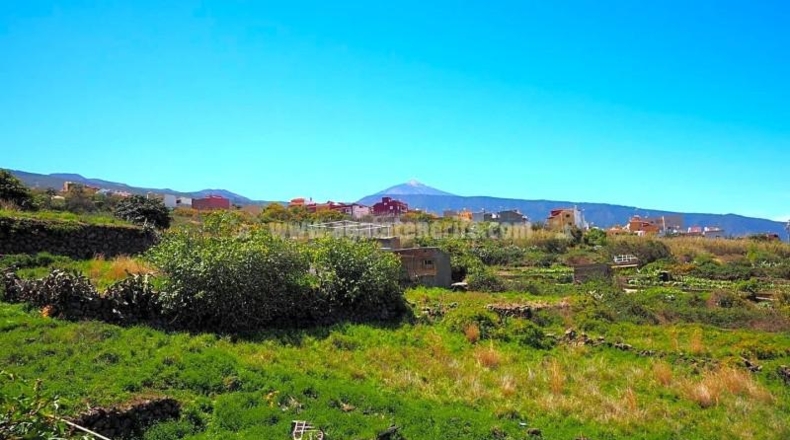 Santa Cruz de Tenerife - La Orotava - 4487m2