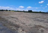 Parcel·la urbanitzable en venda a la España, Elx, ref.: TR306769 foto