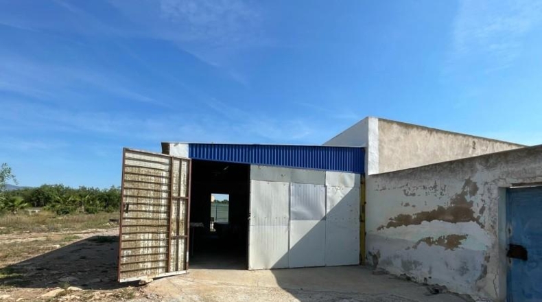 Murcia - Fuente Álamo de Murcia - 17000m2