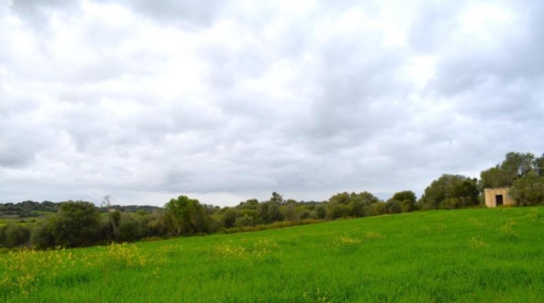 Balearic Islands - Muro - 15988m2