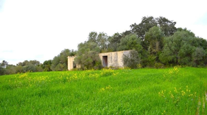 Balearic Islands - Muro - 15988m2