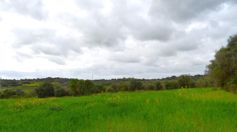 Balearic Islands - Muro - 15988m2