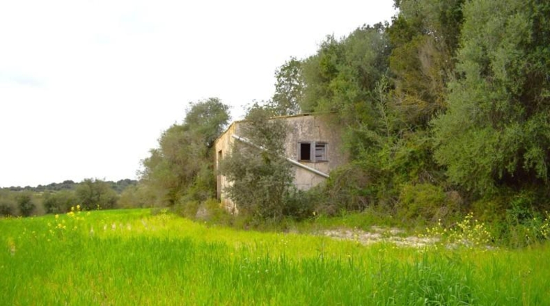 Balearic Islands - Muro - 15988m2