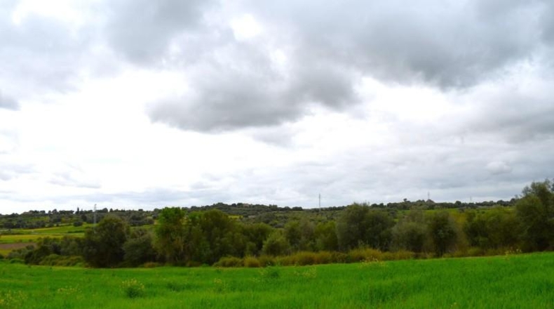 Balearic Islands - Muro - 15988m2