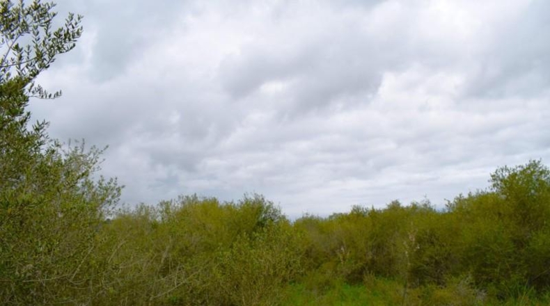 Balearic Islands - Muro - 15988m2