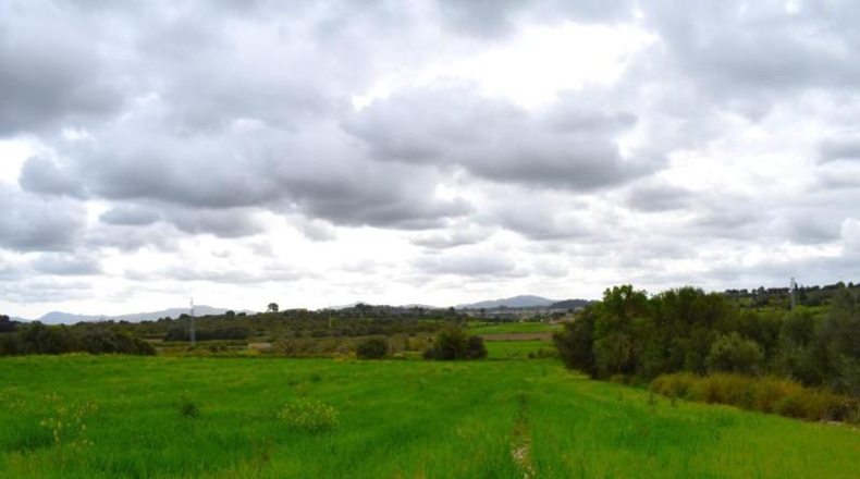 Balearic Islands - Muro - 15988m2