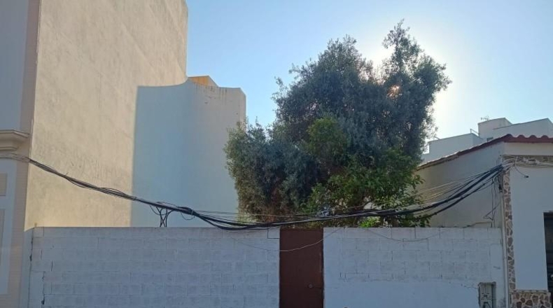 Sevilla - Camas - 309m2