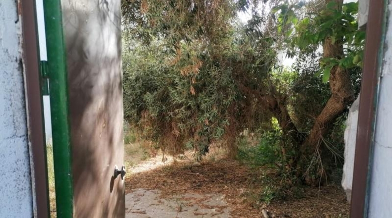 Sevilla - Camas - 309m2