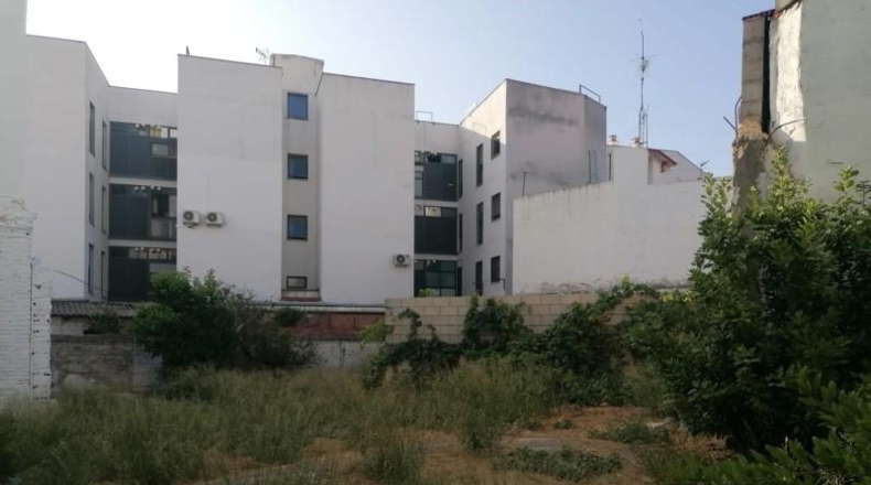 Sevilla - Camas - 309m2