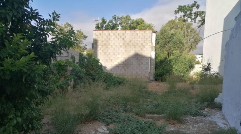 Sevilla - Camas - 309m2