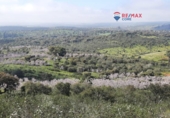 Non-developable land for sale on España, Alburquerque, ref: TR320786 photo