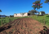 Non-developable land for sale on España, Alburquerque, ref: TR320786 photo