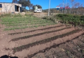 Non-developable land for sale on España, Alburquerque, ref: TR320786 photo