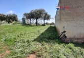 Non-developable land for sale on España, Alburquerque, ref: TR320786 photo