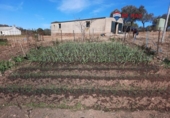 Non-developable land for sale on España, Alburquerque, ref: TR320786 photo