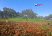 Non-developable land for sale on España, Alburquerque, ref: TR320786 photo