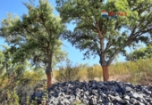 Non-developable land for sale on España, Alburquerque, ref: TR320786 photo