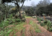 Non-developable land for sale on España, Alburquerque, ref: TR320786 photo