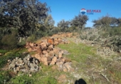 Non-developable land for sale on España, Alburquerque, ref: TR320786 photo