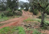 Non-developable land for sale on España, Alburquerque, ref: TR320786 photo