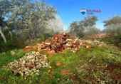 Non-developable land for sale on España, Alburquerque, ref: TR320786 photo