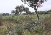 Non-developable land for sale on España, Alburquerque, ref: TR320786 photo