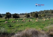 Non-developable land for sale on España, Alburquerque, ref: TR320786 photo