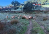 Non-developable land for sale on España, Alburquerque, ref: TR320786 photo